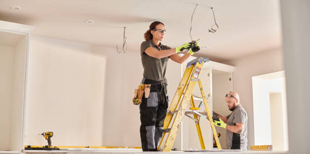 Best Generator Installation Services  in Webster Groves, MO